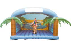 Surf simulator hire from Ding's Entertainment Ltd